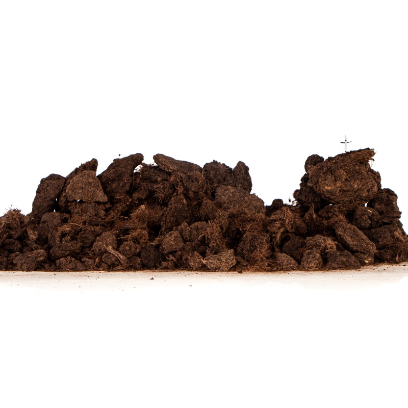 Terrario Paraguay Muds Pieces - clumped peat 5l